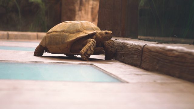 La vida continúa, a puerta cerrada, en Poema del Mar 3 La vida continúa a puerta cerrada en Poema del Mar 1