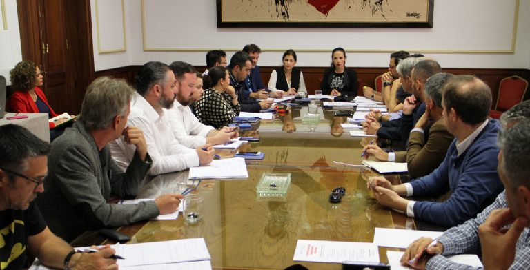 La alcaldesa de Santa Cruz dicta un decreto destinado a incrementar las medidas de contingencia del coronavirus