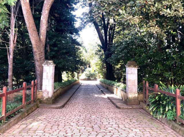 El Cabildo de Gran Canaria cierra sus fincas públicas, áreas recreativas y el Jardín Canario 1 finca cabildo 2