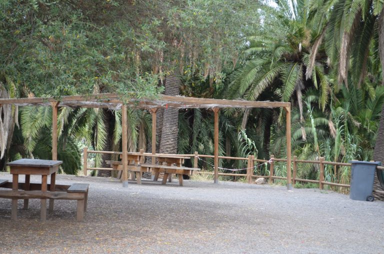 El Cabildo de Gran Canaria cierra sus fincas públicas, áreas recreativas y el Jardín Canario