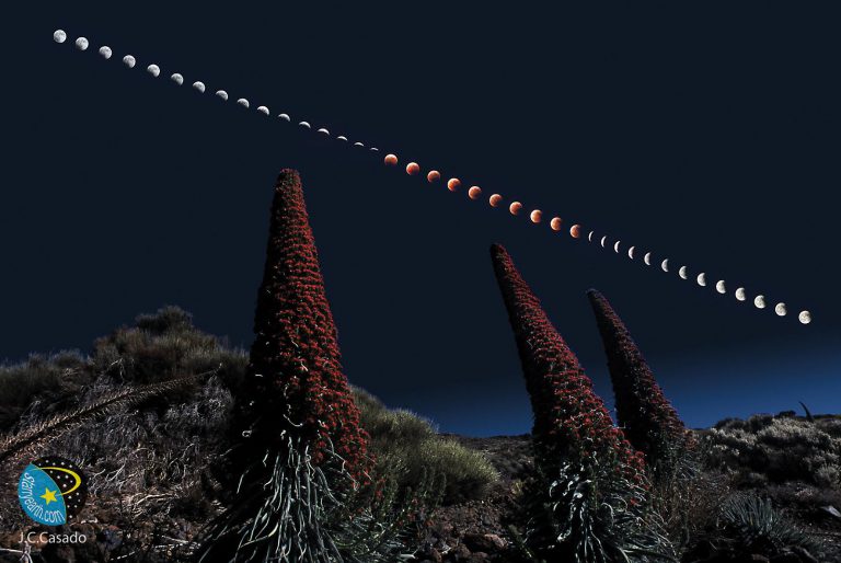 La ULPGC participa en el proyecto EELabs: el uso sostenible de la luz artificial