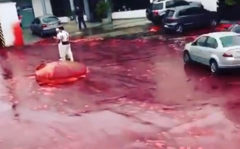 El desplome de un tanque vierte 500.000 litros de sangre en las calles de una ciudad argentina