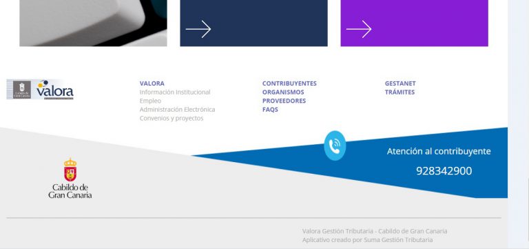 El Cabildo aplaza el cobro de 17 millones en tasas y tributos municipales a la ciudadanía y mantiene el ingreso a los ayuntamientos