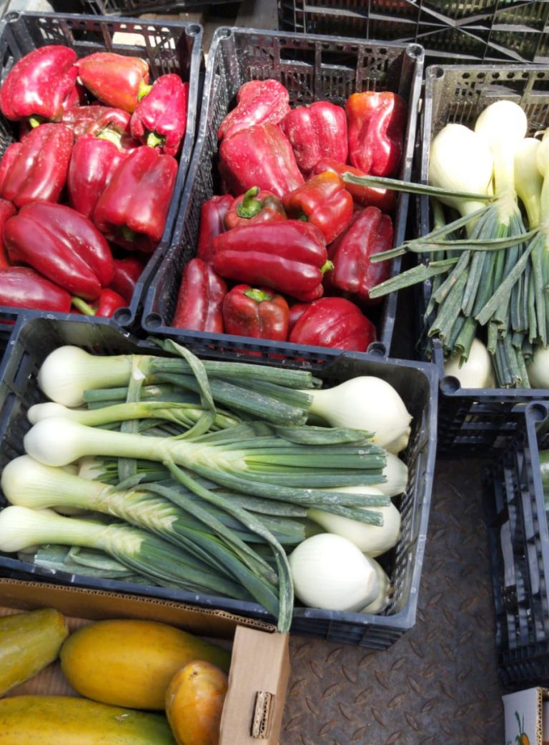 El Cabildo destina un millón de euros a la compra de frutas y verduras al sector primario destinadas a las familias más necesitadas