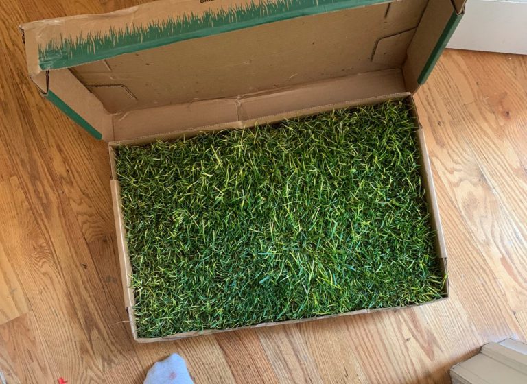 Una mujer protesta en Twitter por no tener jardín para salir durante el confinamiento y le envían un trozo de césped