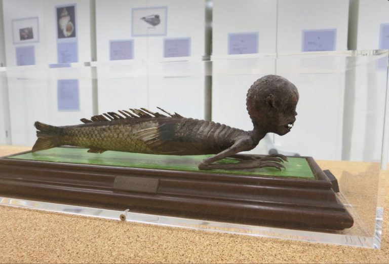 Varios museos del mundo compiten por saber cuál tiene la pieza más terrorífica