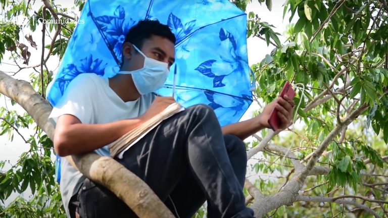 Un estudiante se ve obligado a buscar wifi en las ramas de un árbol para seguir las clases online