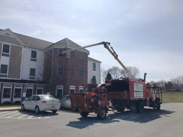 54F4FACC 33F1 43BF 8858 5F1BAB7EC8A8