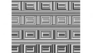 6CC9EF65 0870 4B7A B5E6 2ABA212F2F2A