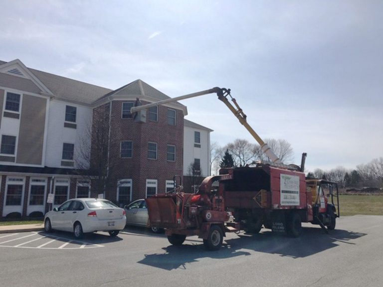Un podador de árboles visita a su madre, aislada en el tercer piso de una residencia, con la ayuda de una grúa