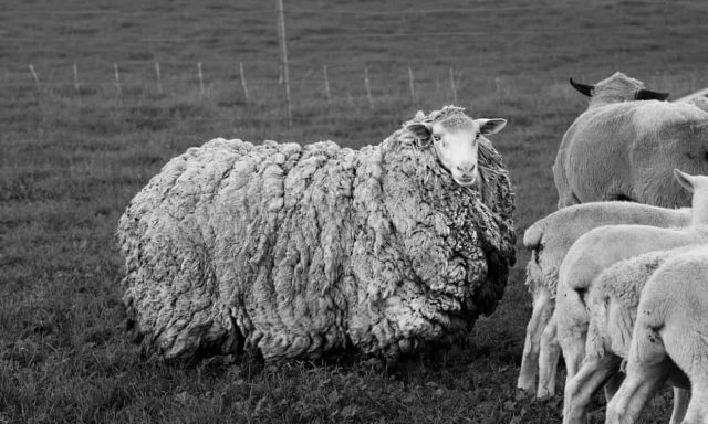 A729F5B2 AC55 4F9E 8C7E DA13CF9AEE69