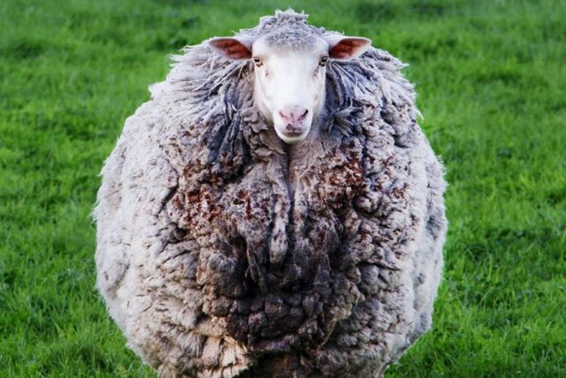 C79A9DC9 C7B9 4B39 BD81 4166B8525759