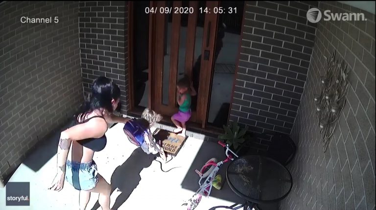 El terrorífico ataque de una serpiente venenosa a una familia en la entrada de su casa