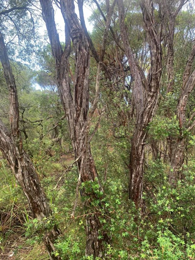 CDED843C ECD9 40C3 9642 89B38B842D35