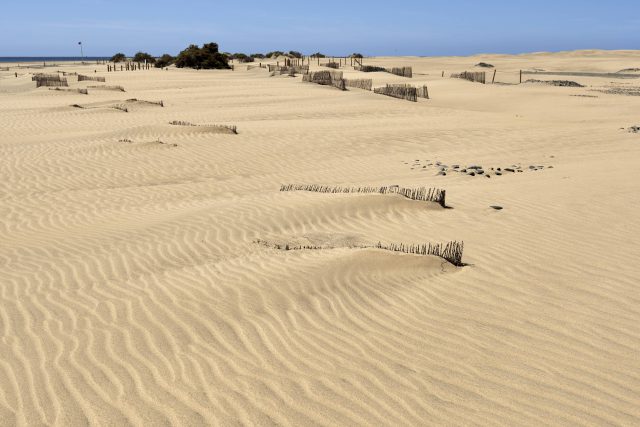 El confinamiento devuelve a las Dunas de Maspalomas sus ondulaciones y paisaje de ensueño de hace 50 años 2 Captadores de arena funcionando