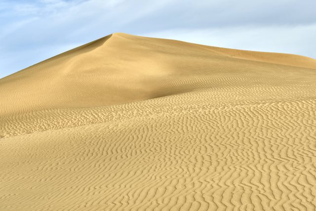 El confinamiento devuelve a las Dunas de Maspalomas sus ondulaciones y paisaje de ensueño de hace 50 años 1 Detalle de las dunas durante el confinamiento
