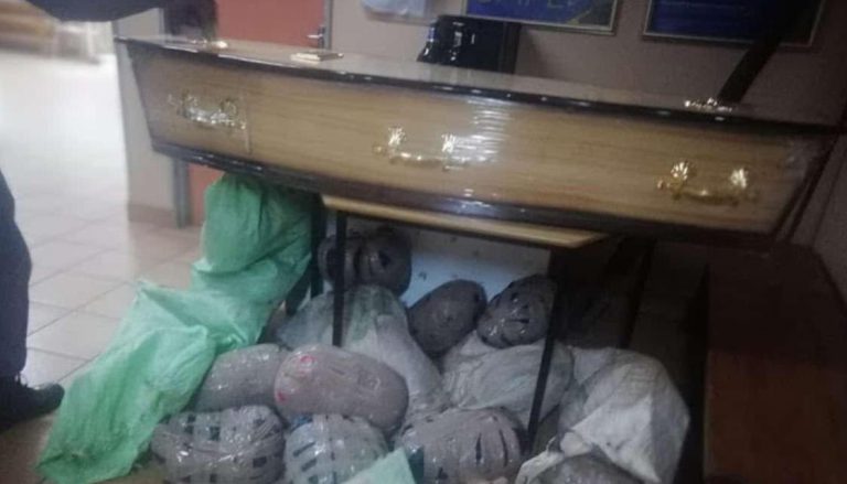 Dos traficantes detenidos por intentar pasar 80 kilos de marihuana ocultos en un ataúd