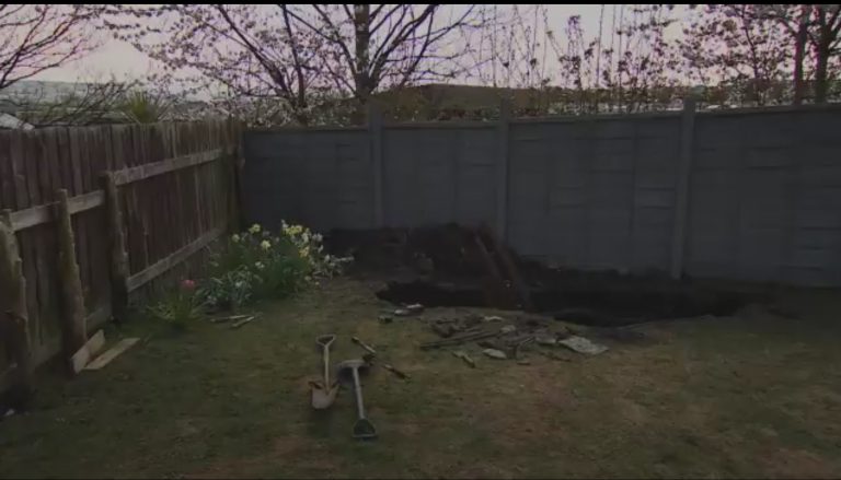 Se dedica a cuidar de su jardín durante el confinamiento y se lleva la sorpresa de su vida