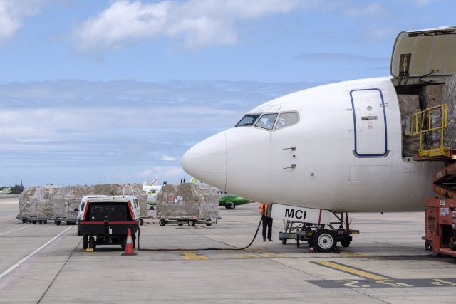 Llegada material 3 1