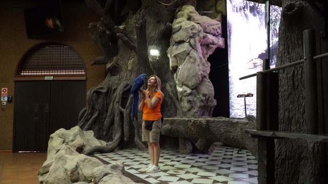 Loro Parque continúa haciendo las presentaciones de animales sin público 3 Loro Parque continúa haciendo las presentaciones de animales sin público 3