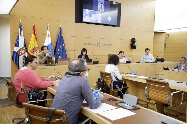 Pedro Martín ultima con las ONG el plan de ayudas de emergencia social del Cabildo