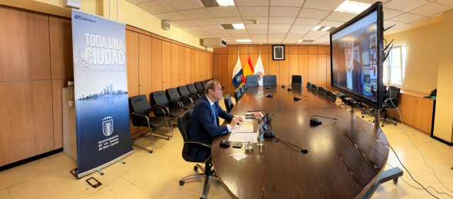 Reunión telemática con Ayuntamientos y Cabildo 8