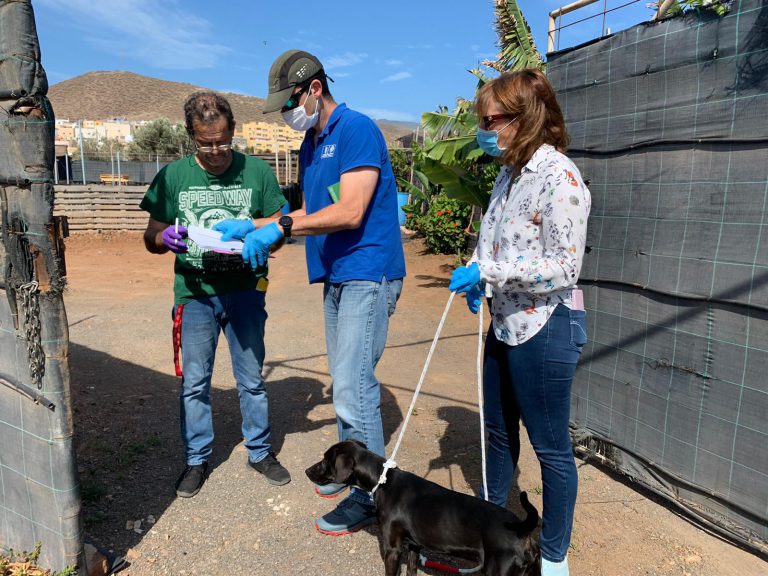 El Cabildo entrega 30 perros que habían sido adoptados antes del estado de alarma y que sus dueños no habían podido llevarse a casa
