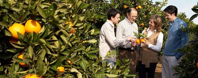La naranja, un buen remedio para combatir el coronavirus 1 area home familia