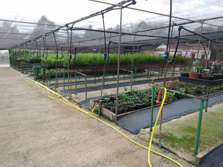 El Norte de Gran Canaria alcanza cifras de desempleo de 2016