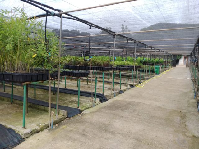 cabildo gran canaria plantas 3