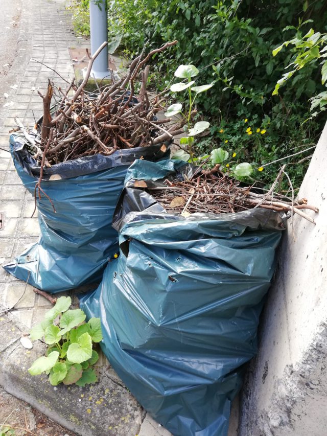 cabildo limpieza viviendas rurales