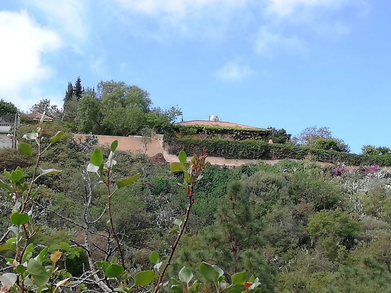 El Cabildo insta a limpiar 15 metros alrededor de las viviendas de primera residencia durante este estado de alarma