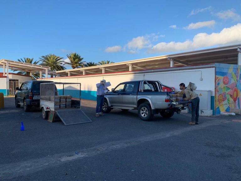 El Cabildo entrega 20 núcleos con abeja reina fecundada y un grupo de obreras a los afectados por los incendios, que recibirán 600