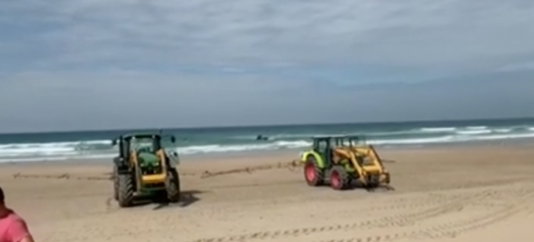 Polémica en Zahara de los Atunes por fumigar sus playas con lejía