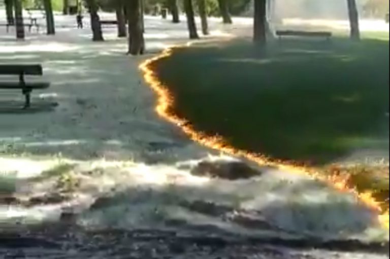 Las imágenes de la quema controlada de polen en un parque de Calahorra que han dado la vuelta al mundo