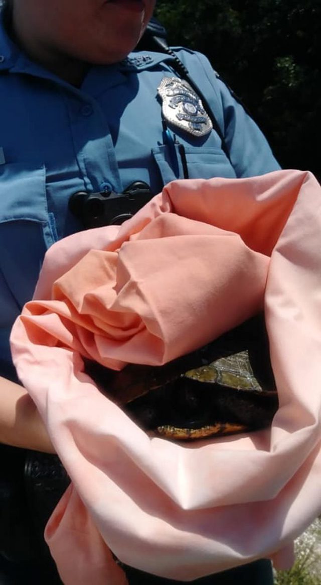 1C085D68 8790 45F5 A3B5 48E85A6CC84B