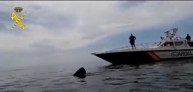 La Guardia Civil graba un tiburón de 8 metros frente a las costas de Granada