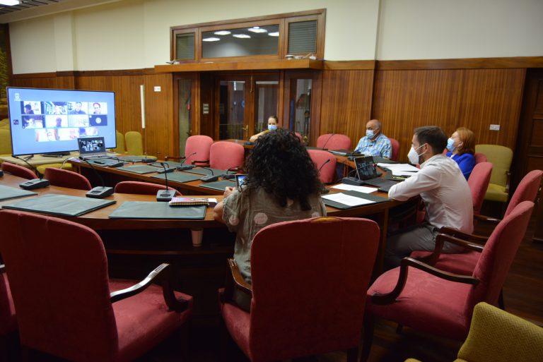 Mariano H. Zapata comparte con el Consejo Social de La Palma las iniciativas del Cabildo durante la crisis de la COVID-19