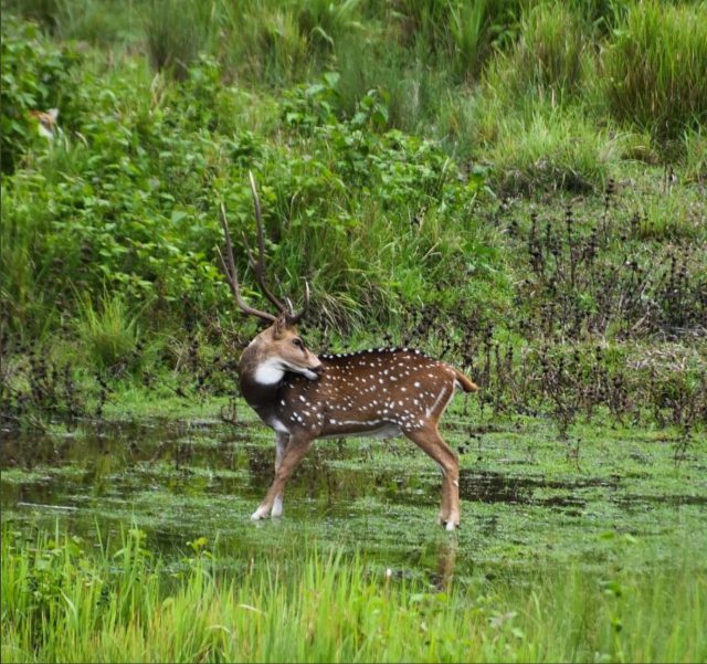 2B830BB4 80A7 4142 8187 692996F4F8D4