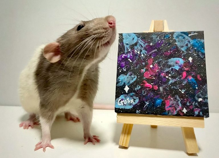 Una rata se hace ‘rica’ vendiendo sus propios cuadros