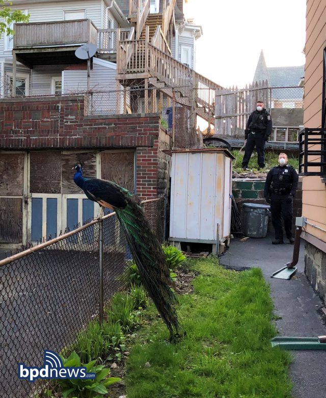 853B0525 775D 4F56 BEB7 00F94DDE1201