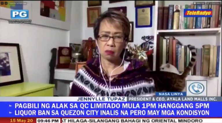 Los gatos de una reportera se enzarzan en una pela en pleno directo telemático