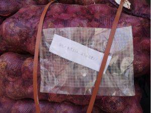 C6C4608A 7102 4A7E 8899 E2DAA028BB1D