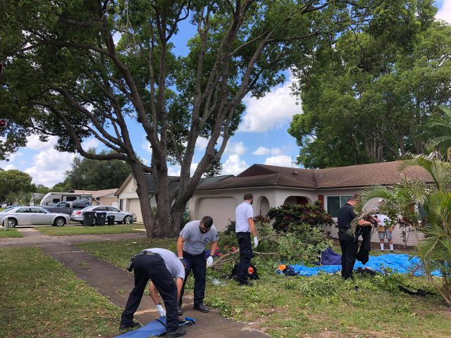 C95BD696 C219 4881 A82E C1A91CAE65B4