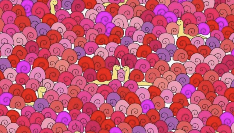 Reto visual: encuentra un corazón entre tanto caracol