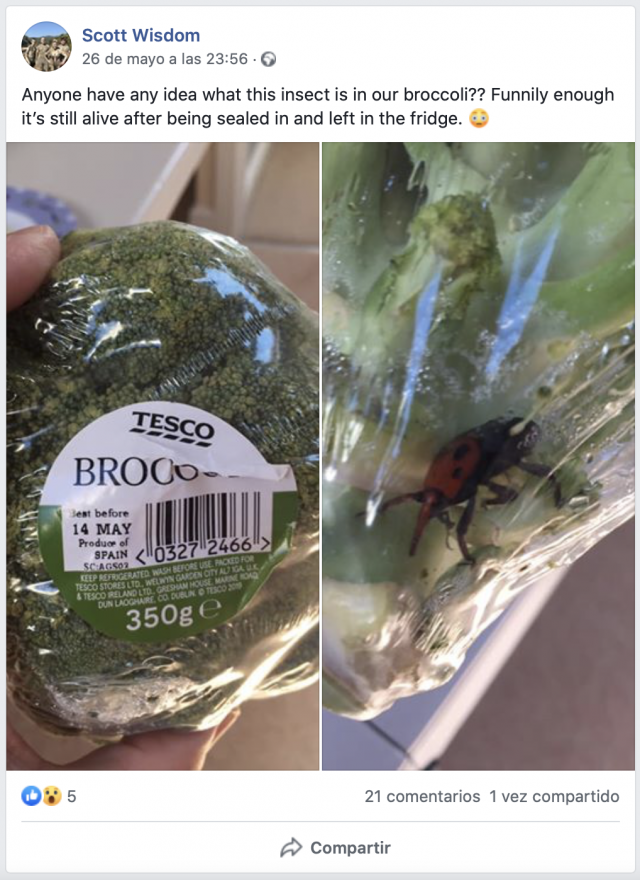 Captura de pantalla 2020 05 29 a las 11.04.13