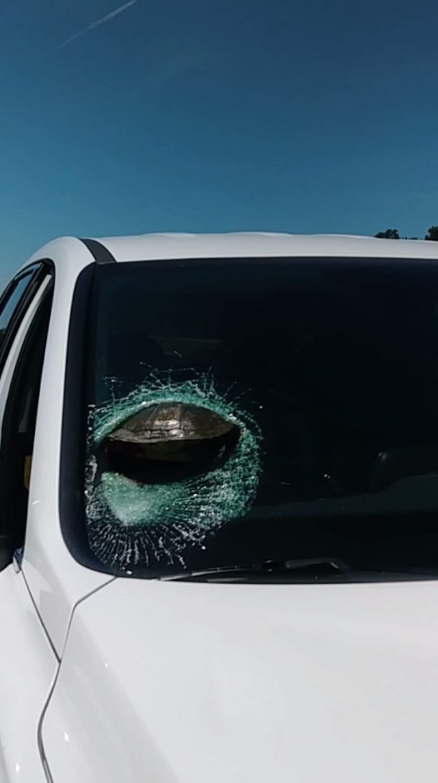 D10AB7A1 8997 4B66 82AF 73A3BAD3879A