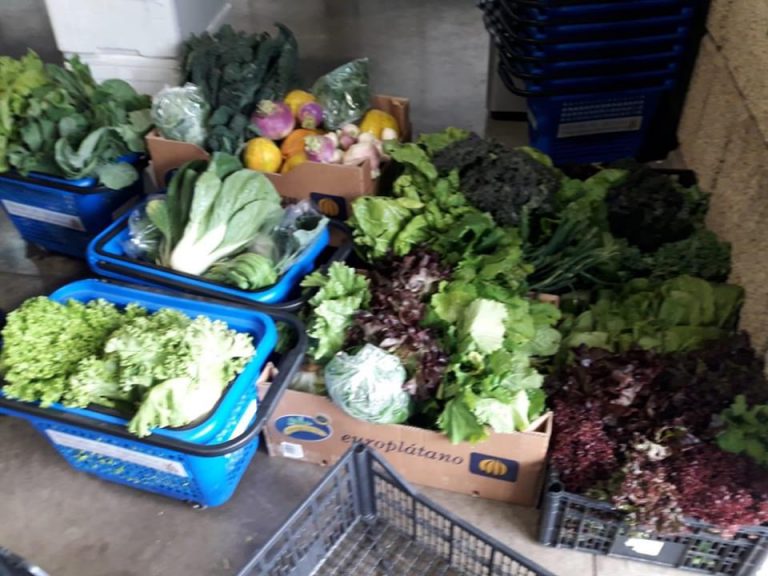 El mercado del agricultor dona más de 200 kilos de alimentos frescos de la huerta a las ONG del municipio