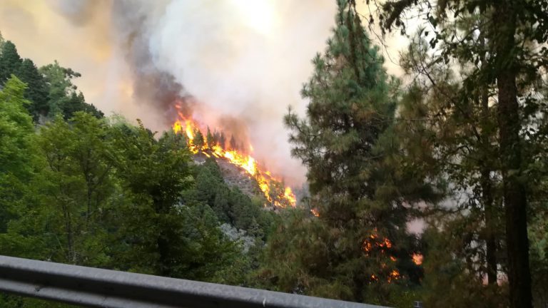El Estado establece un amplio dispositivo de medios en Canarias en previsión de posibles incendios forestales durante el verano
