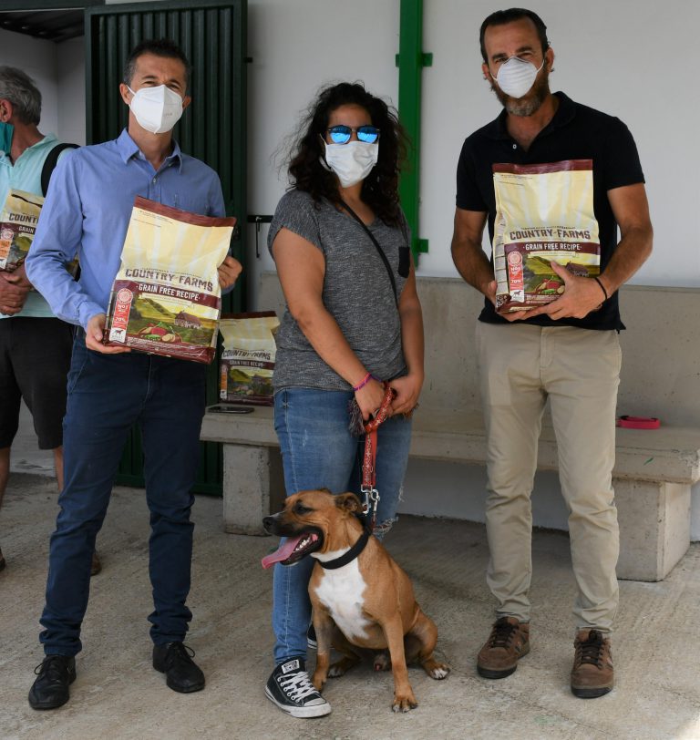 Todos los animales del albergue municipal de Mogán han sido adoptados durante el estado de alarma